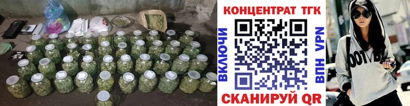 мега ONION  Елизово  ТГК жижа 